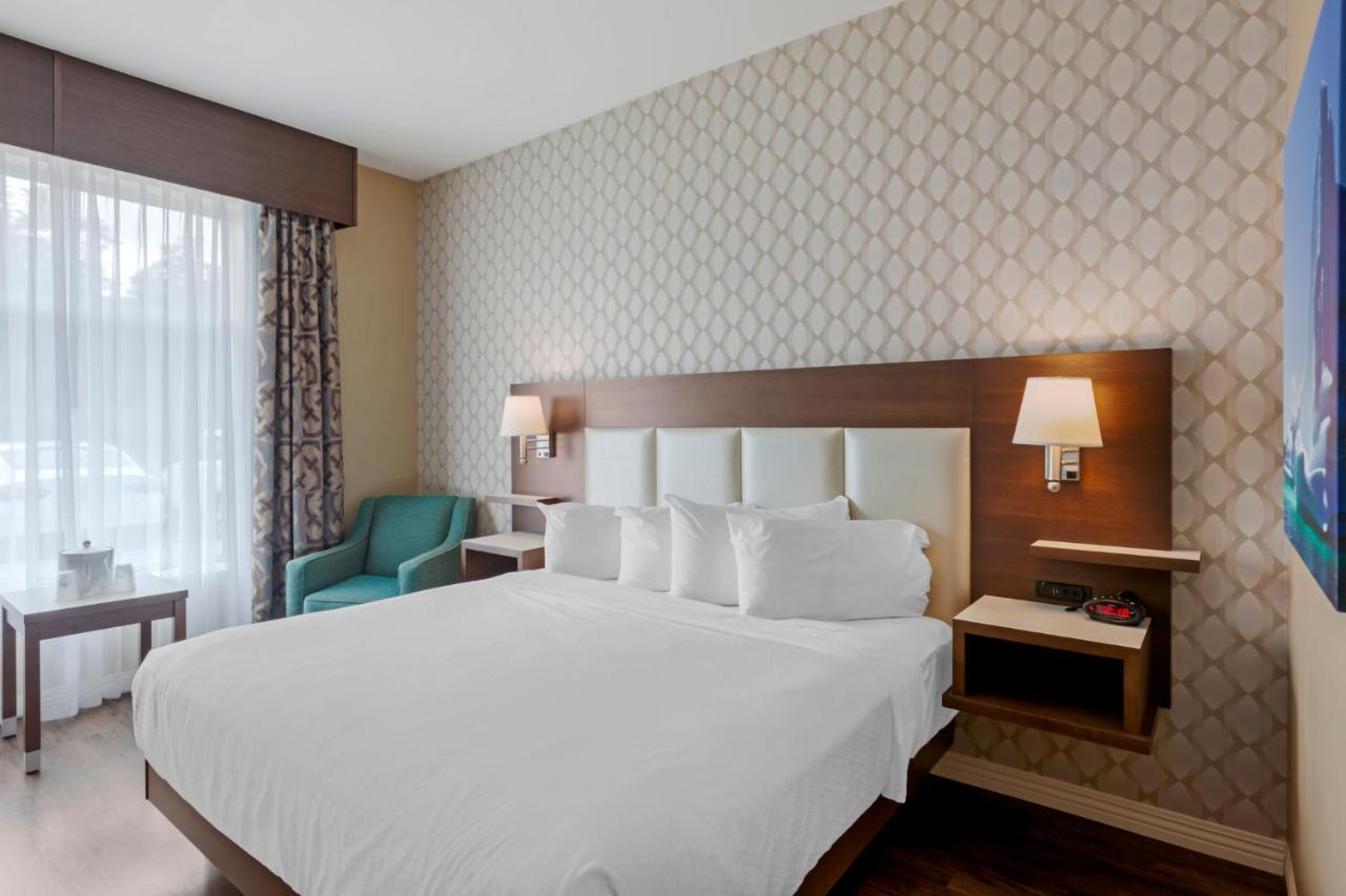 Best Western Plus St. John'S Airport Hotel And Suites Kültér fotó